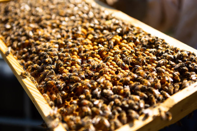 photographe-événement-professionnel-entreprise-marseille