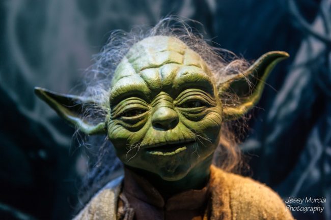 Photo professionnel star wars