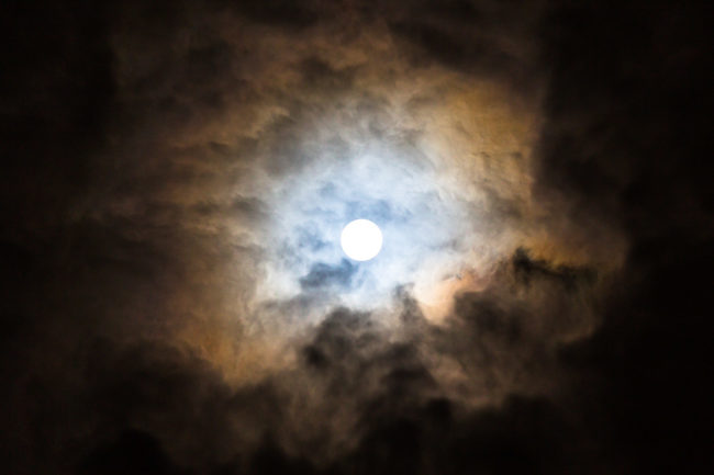 Photo professionnel paysage