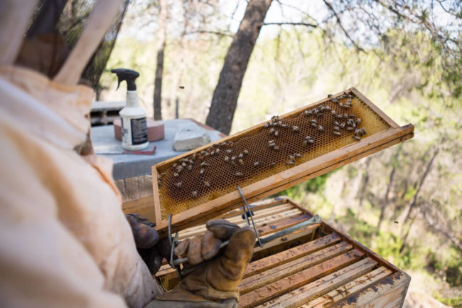 reportage corporate photographe professionnel var