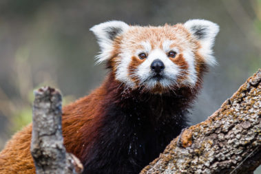 photographe professionnel 13