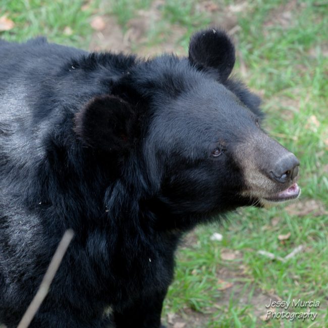 photo professionnel cassis