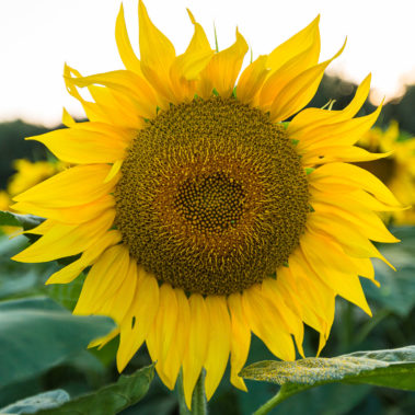 photo professionnel chateauneuf les martigues