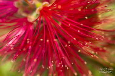 photo professionnel Marignane