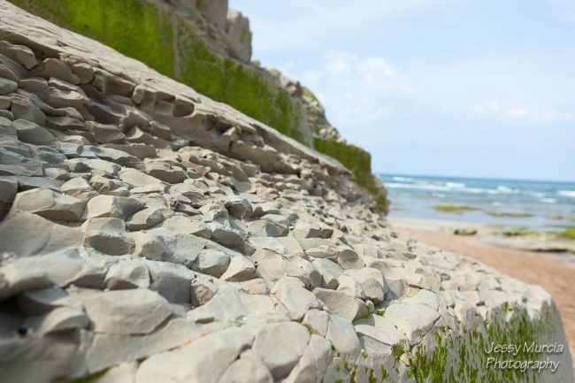 photo professionnel paysage