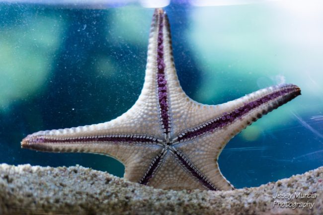 photo professionnel aix en provence