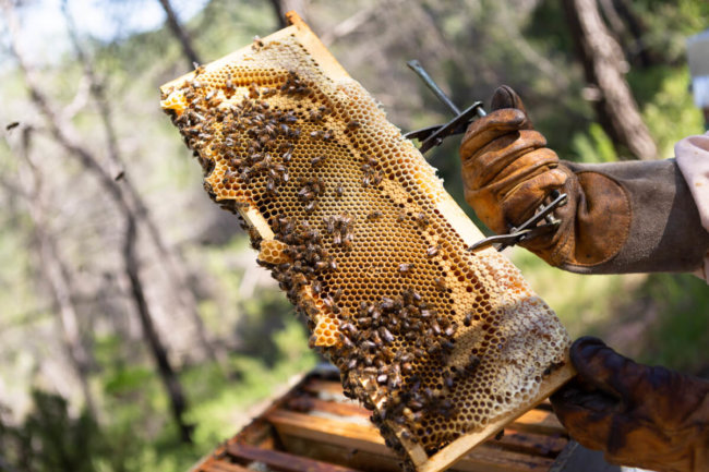reportage entreprise photo professionnel