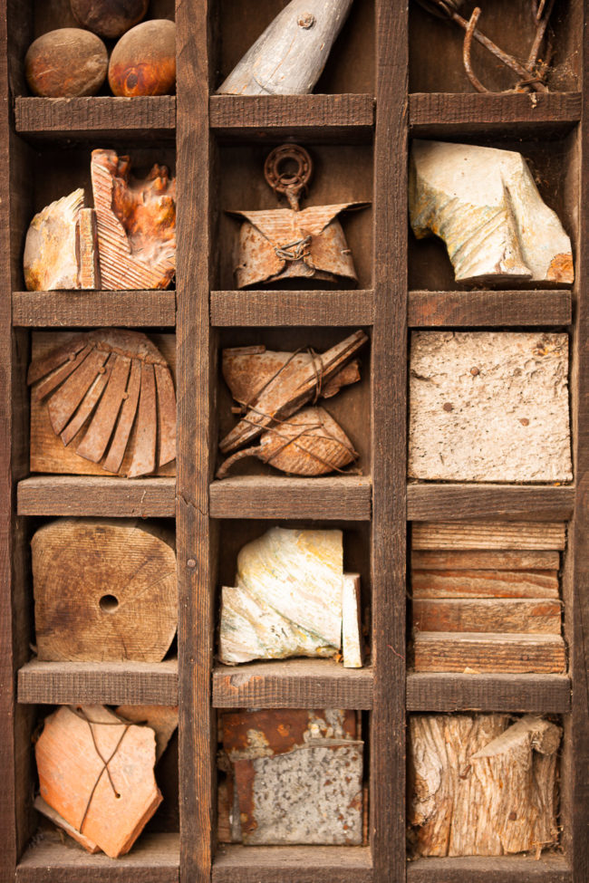 photo portrait professionnel