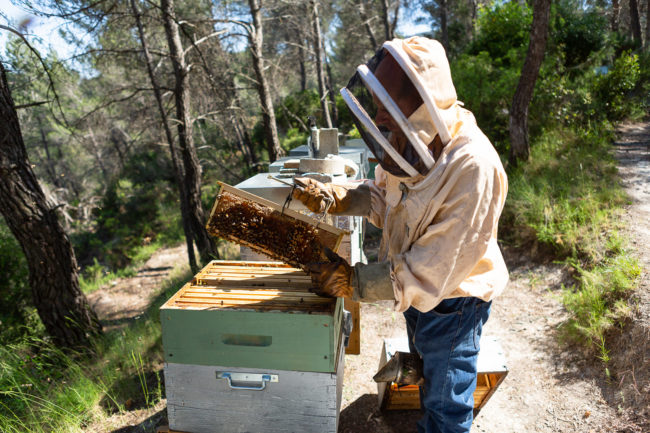 photographe-événement-professionnel-entreprise-marseille