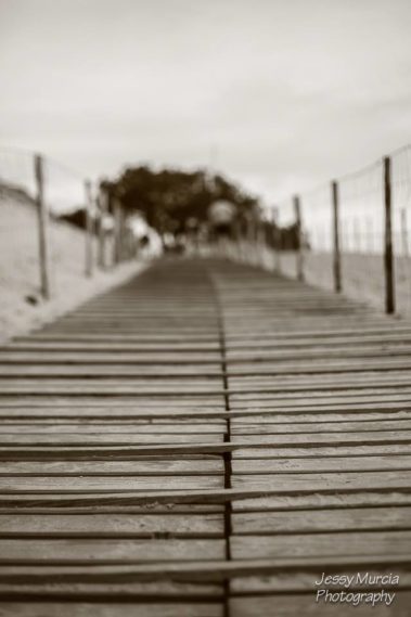 photo professionnel prix