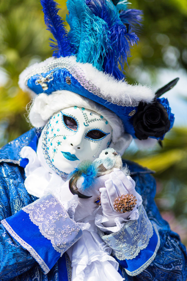 Photo professionnel 13013