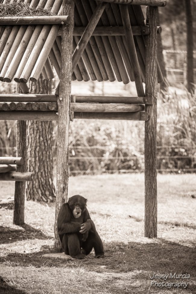 Photo professionnel 13004