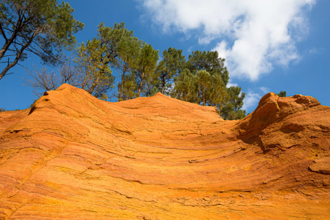 Photo professionnel 13