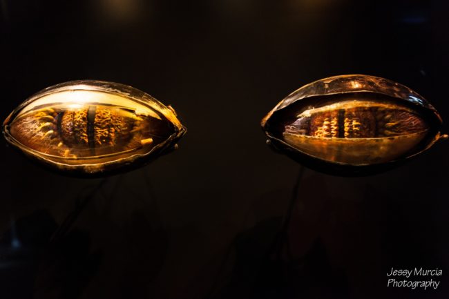 aix en provence photo professionnel