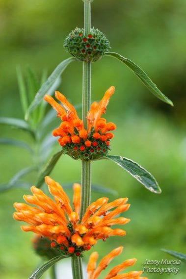 aix en provence photographe professionnel