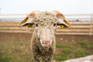 marseille photographe professionnel