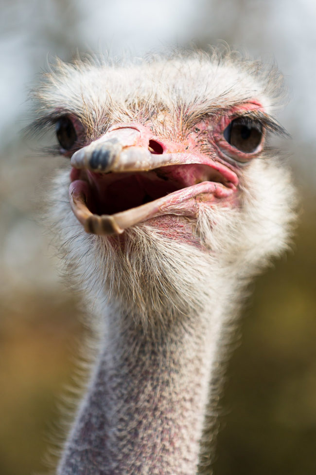 Photographe professionnel marseille