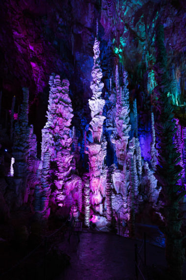 photographe professionnel paca