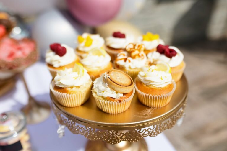 Photographe Anniversaire Rognac 13340