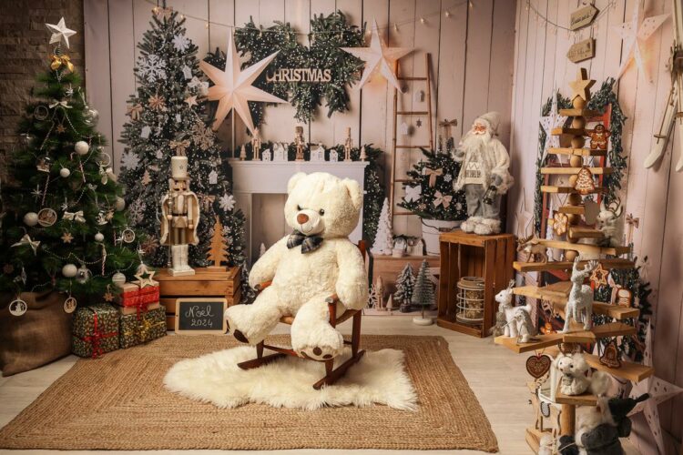 Mini séance Noël 2024