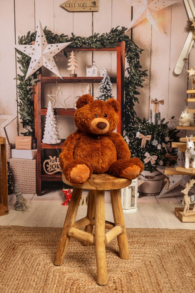 Mini séance Noël Décor Noël 2024