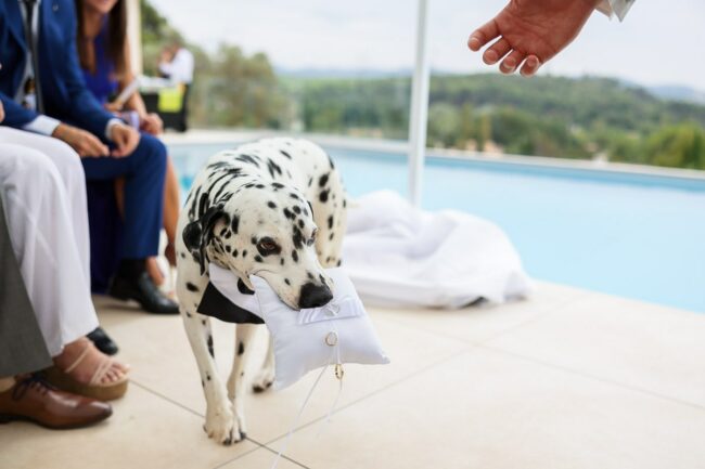 Reportage photo mariage sans religion Côte Bleue