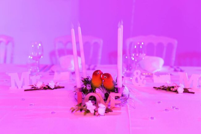 Photographe-de-mariage-coudoux-table-des-mariés