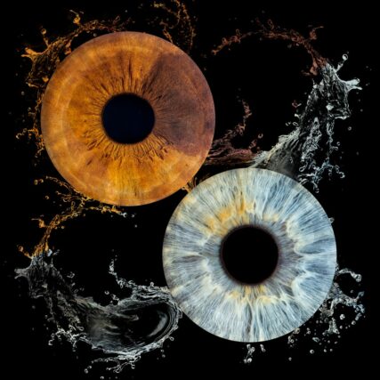 Iris photo yeux Aix en Provence