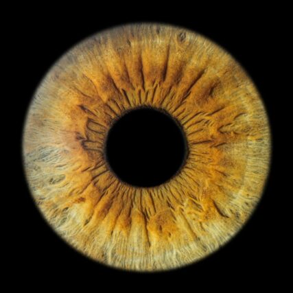 Photo-Iris-Sausset les Pins