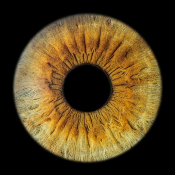 Photo-Iris-Sausset les Pins