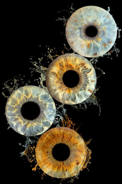 Photo d'Iris à Aix en Provence