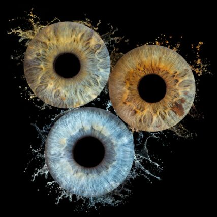 Photo d'Iris à Chateauneuf les Martigues