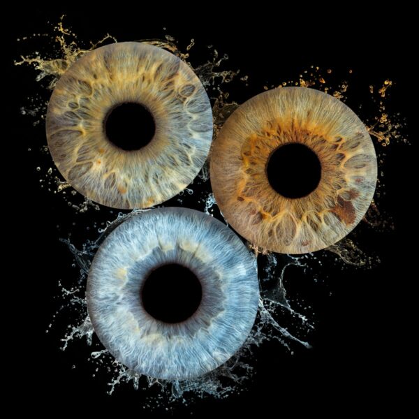 Photo d'Iris à Chateauneuf les Martigues