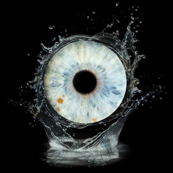 Photo d'Iris à Chateauneuf les Martigues