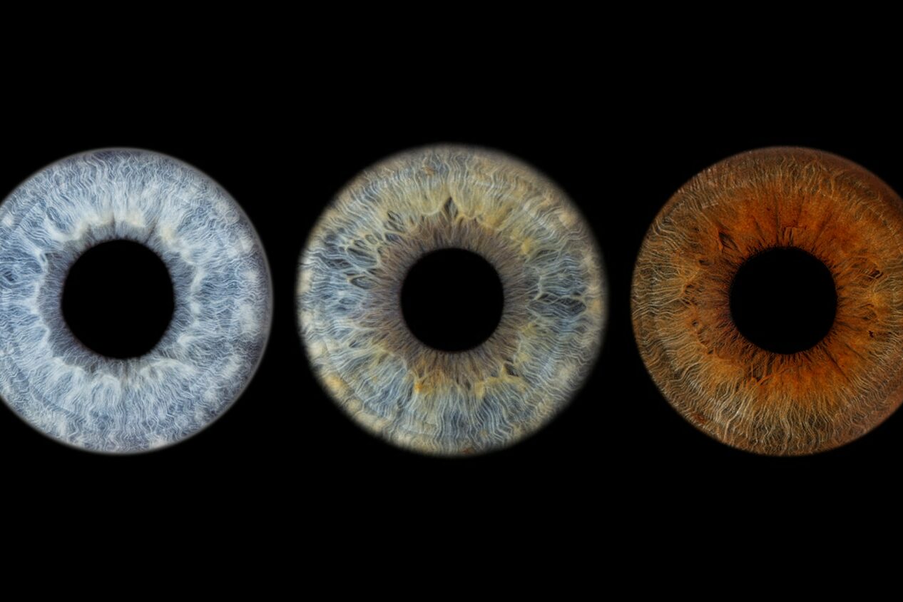 Photo d’Iris à Chateauneuf les Martigues