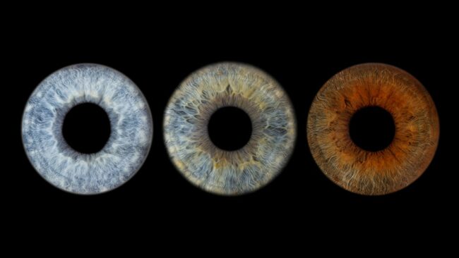 Photo d’Iris à Chateauneuf les Martigues