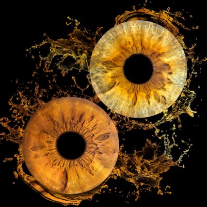 Photo d'Iris à Istres