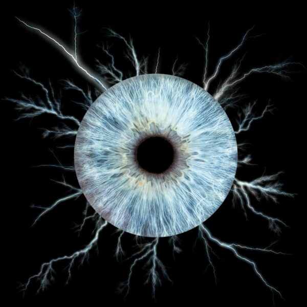 Photo d'Iris à Martigues