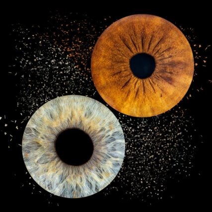 Photo d'Iris à Plan de Campagne