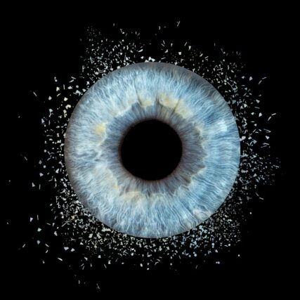 Photo d'Iris à Salon de Provence