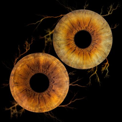 Photo d'Iris cote bleue