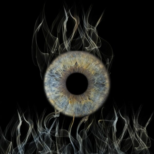 Photo d'iris Aix en Provence