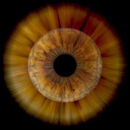 Photo d'iris Aix en Provence effet sun