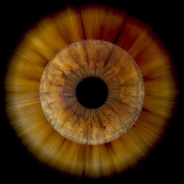 Photo d'iris Aix en Provence effet sun