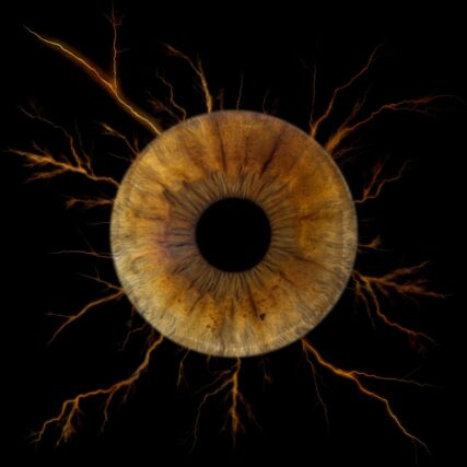 Photo d'iris Fos sur Mer