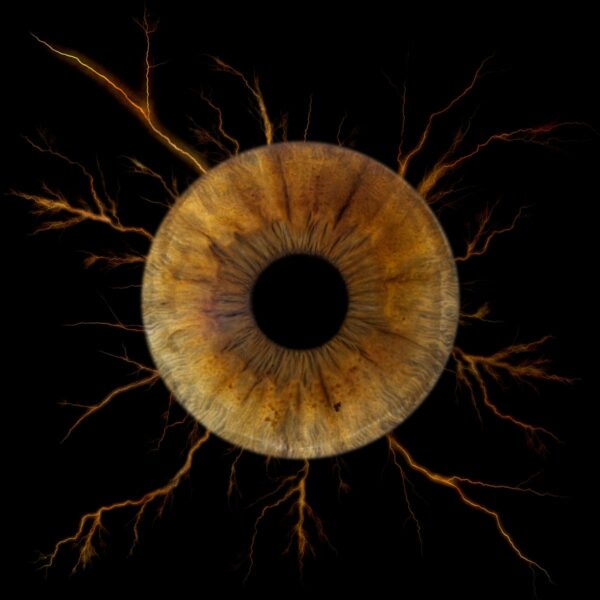 Photo d'iris Fos sur Mer