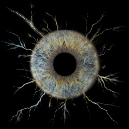 Photo d'iris Les Pennes Mirabeau