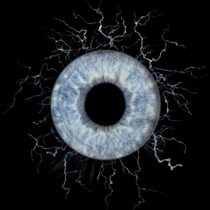 Photo d'iris Marseille