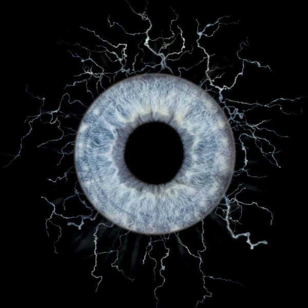 Photo d'iris Marseille