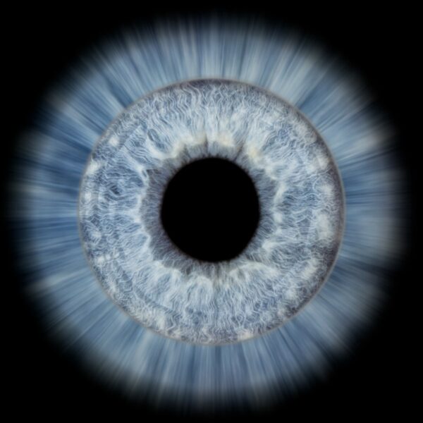 Photo d'iris Marseille Effet sun